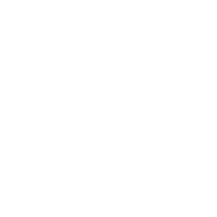 icon icon
